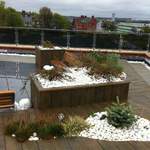 roof garden 014