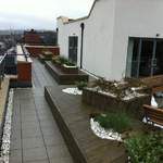 roof garden 012